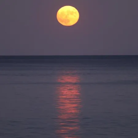 Aparthotel Liberty Chrisi Ammoudia