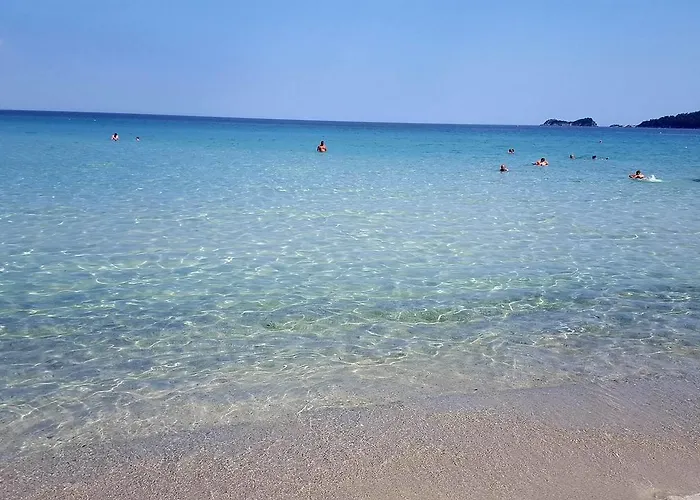 Liberty クリッシ・アモウディア